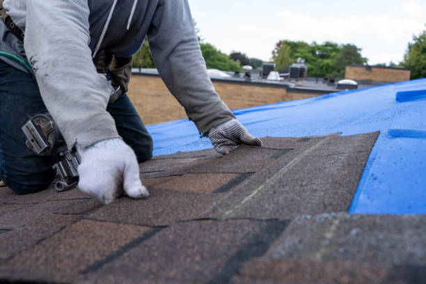 Best Roof Repair Services  in Pleasureville, PA
